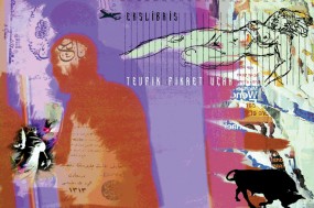 Hasip Pektaş, Türkiye, CGD, (90 x 120), 2011