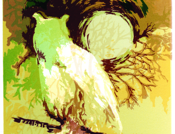 Vedat Çolak, S1, 2009
